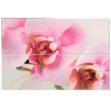 DEC. ORQUIDEA 